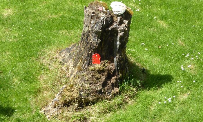 A fairy door in a tree stump. There must be fairies about!
